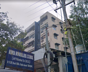 Vidya Vinayalaya School