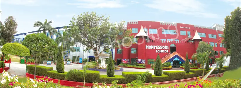 Little Angels School