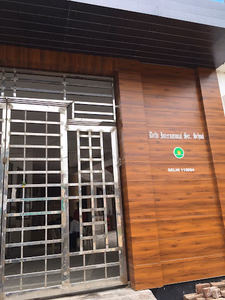 Delhi International School