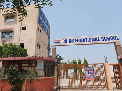 CD International School