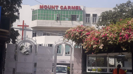 Mount Carmel School