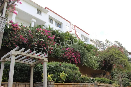 National Hill View Public School