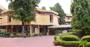 Apeejay School