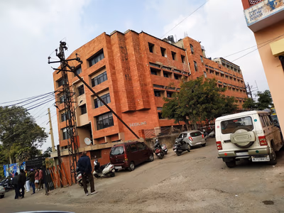 Seedling International Academy