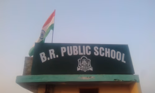 BR Public School