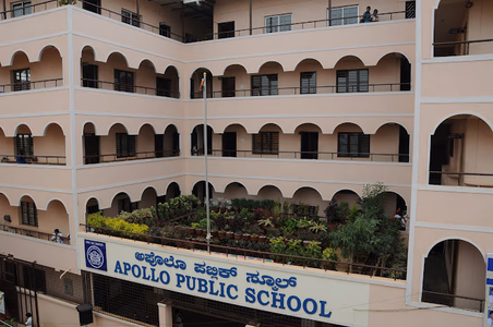 Apollo Public School