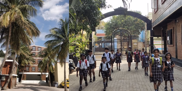 Christ The King Institutions