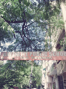 Green Lite Public School