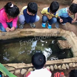 The Montessori School