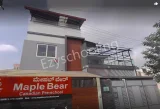 Maple Bear Maple Bear Gallery