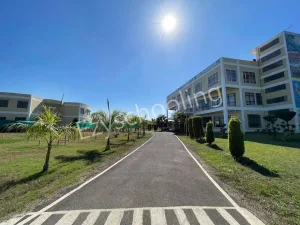 Springfield World School Gallery