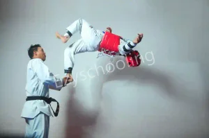 Springfield World School Gallery