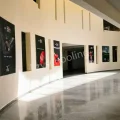 The Sports School Gallery
