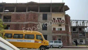 Maple Tree School Gallery