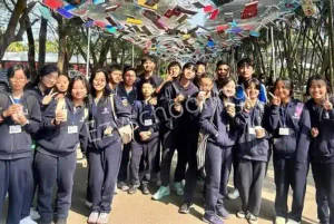 Maple Tree School Gallery