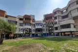 Prakriti Prakriti Gallery