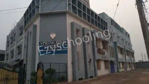 Springbird School Gallery