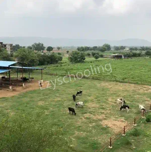 Lords International School Gallery