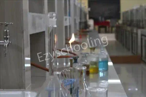 K. E. Carmel School Gallery