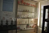 Saint MSG Glorious International School Saint MSG Glorious International School Gallery