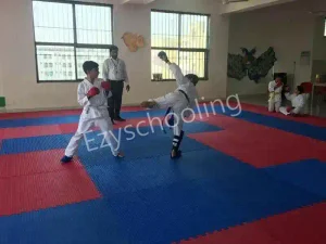 M.M. International School Gallery