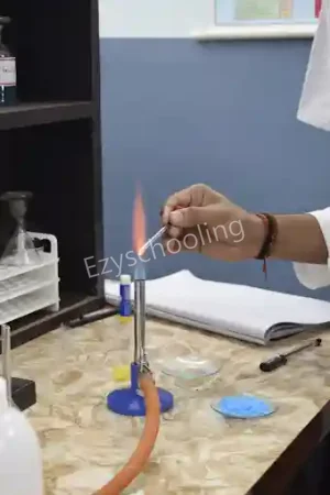 Indian Public School Gallery