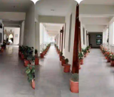 Solan Public School Gallery