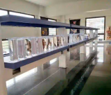 Solan Public School Gallery