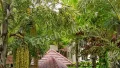 Christel House India Gallery