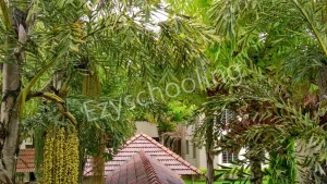 Christel House India Gallery