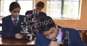 St. Mary's Convent School Gallery