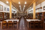 Wynberg Allen School Wynberg Allen School Gallery