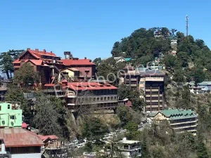 Auckland House School Gallery