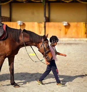 BGS International Academia School Gallery