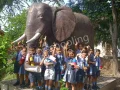 JP Academy Gallery