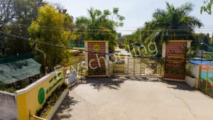 Orchids The International School Gallery