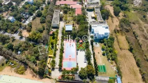 Orchids The International School Gallery