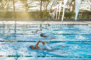 Stonehill International School Gallery