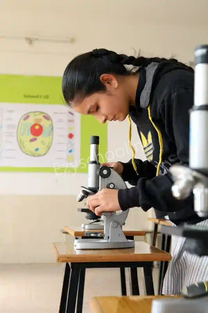 New Look Central School Gallery