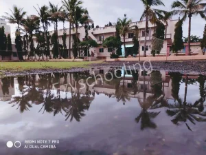 Shree Green Farm English School Gallery