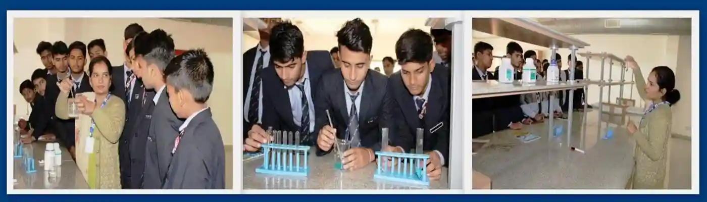 RPS International School RPS International School Gallery