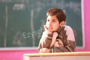 SYNA International School Gallery