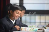 Springfield World School Springfield World School Gallery