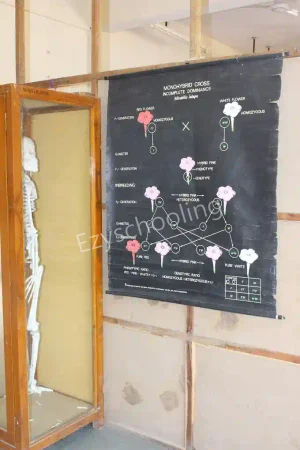 Satya Prakash Public School Gallery