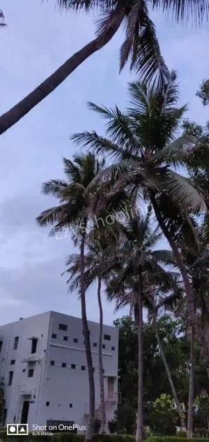 Manav Kendra Gyan Mandir School Gallery