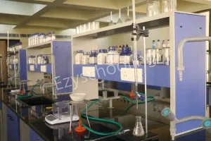 K.R. Mangalam World School Gallery