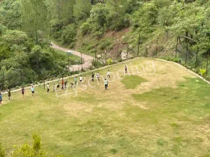 The Plenum School Gallery