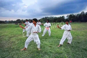 Taurian World School Gallery