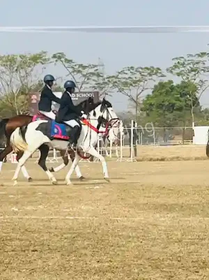 Taurian World School Gallery