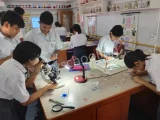 Modern English School Modern English School Gallery